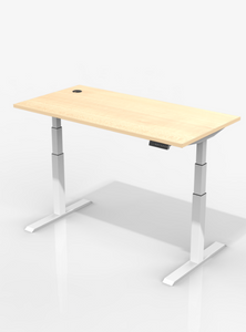 InnoFur Altezza Ergonomic Height Adjustable Desk