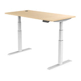 InnoFur Altezza Ergonomic Height Adjustable Desk