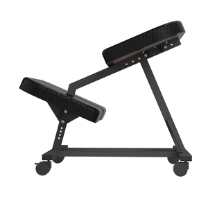 InnoFur Anetos Ergonomic Kneeling Chair